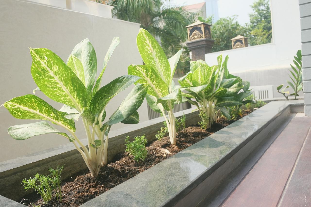 Greenwood Villa Saigon Ho Si Minh-város Kültér fotó