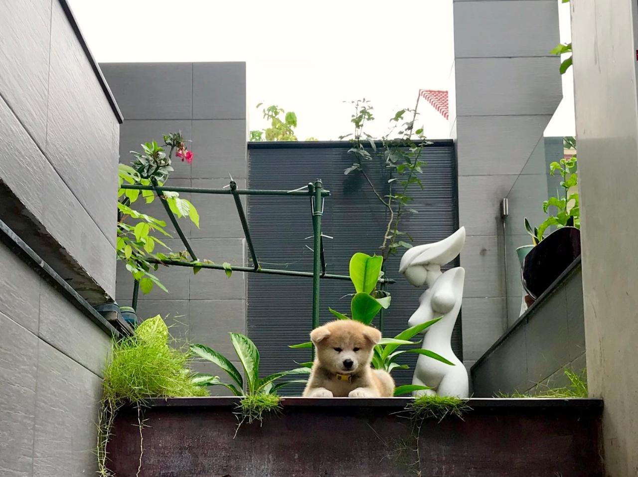 Greenwood Villa Saigon Ho Si Minh-város Kültér fotó